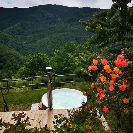 Eremo Artistico Con Hot Tub Idromassaggio E Sala Giochi *